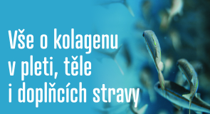 Víte, jak si vybrat správný kolagen? Přečtěte si v našem obsáhlém blogu, co vlastně kolagen je a odkud se získává. Jaké druhy existují a jaké mají účinky na různé potřeby těla. 